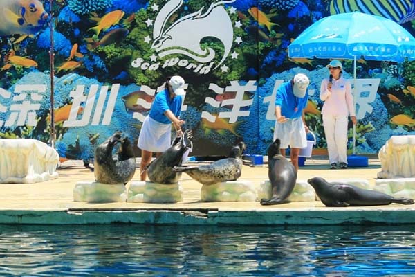 Shenzhen Ocean World Glimpse 